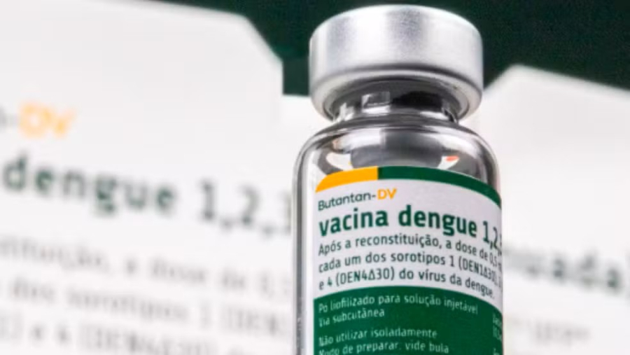 Teresina recolhe doses da vacina contra a dengue do Butantan após suspensão pelo Ministério da Saúde